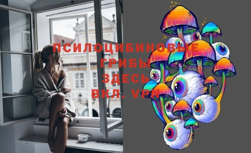 Галлюциногенные грибы MAGIC MUSHROOMS  купить наркотик  Гусев 